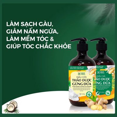 dầu gội thảo dược tốt nhất